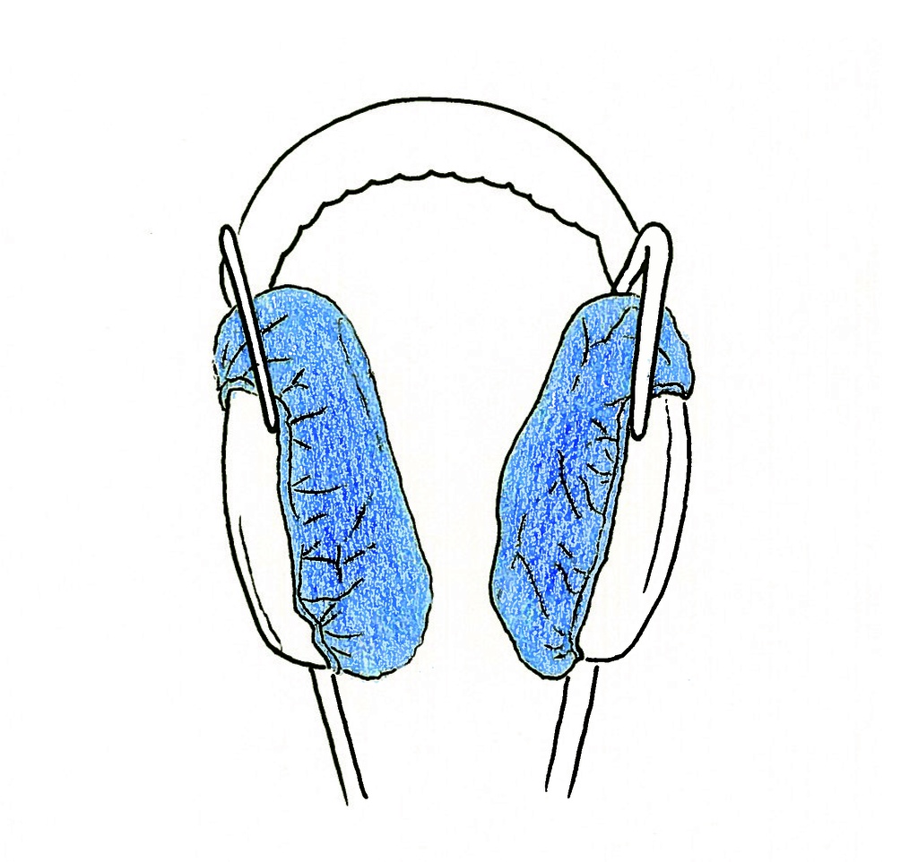 [Pearltec] Cover Headphones, 100 Stk.